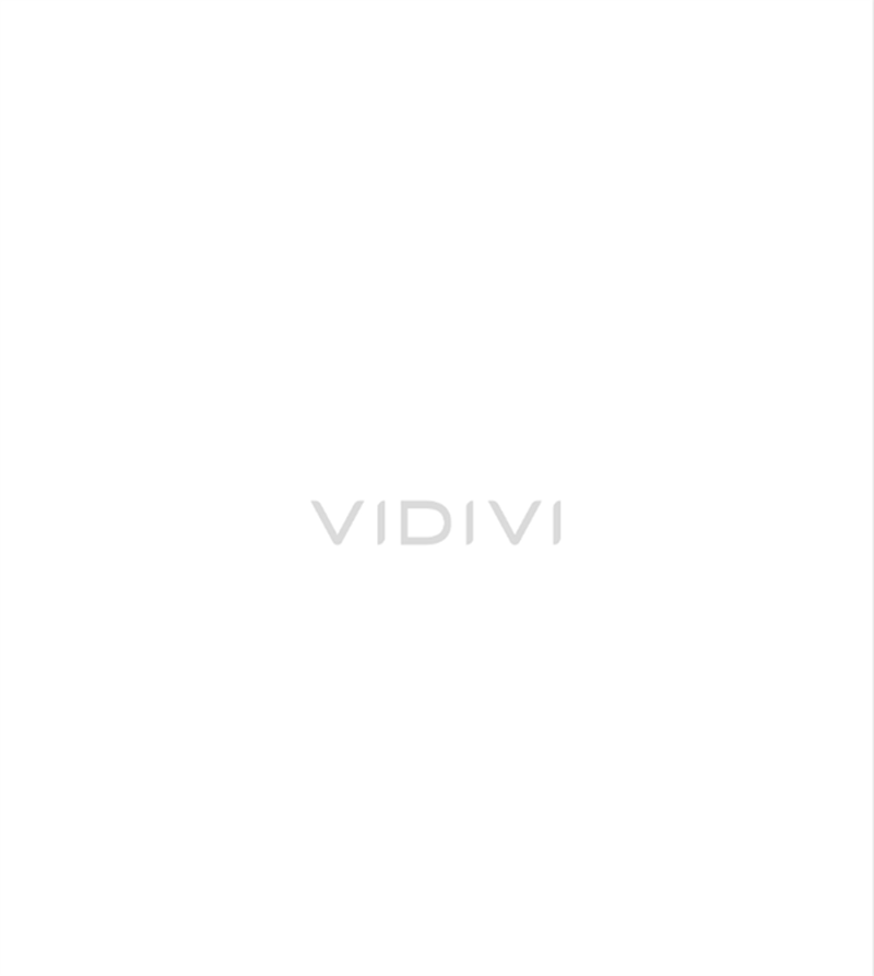 VIDIVI 2025